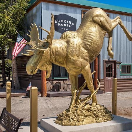 The Bucking Moose Hotell West Yellowstone Exteriör bild